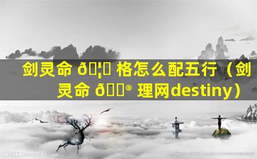 剑灵命 🦄 格怎么配五行（剑灵命 💮 理网destiny）